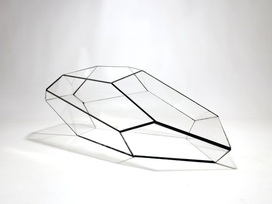 Geometric Terrarium - Plantasia - Vivarium ↑ 50 x 25 x 17,5 cm (LxWxH) - Glass