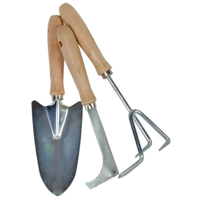 Transplanting Trowel - Wide - Galvanized Steel - Wooden Handle