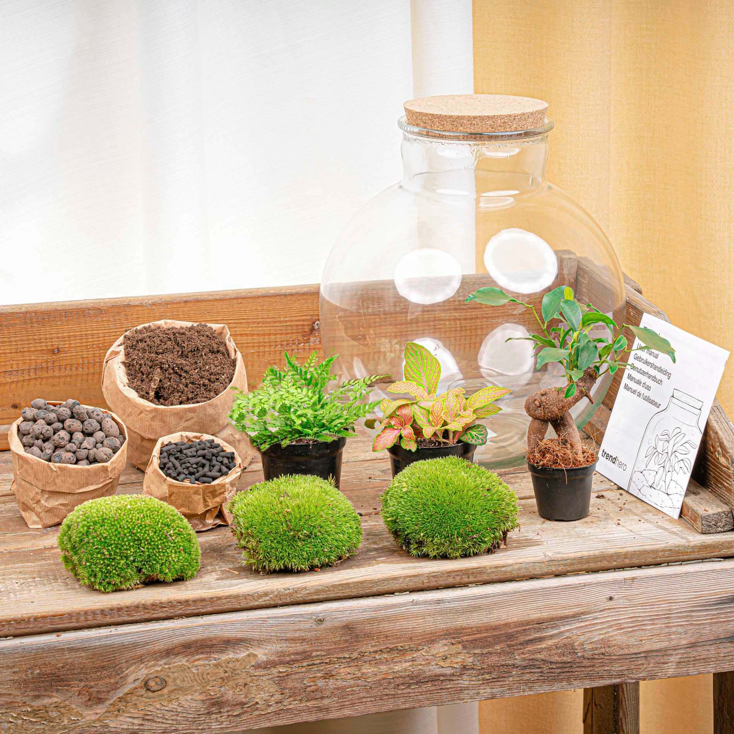 Een glazen terrarium met korkdop, gevuld met groene mos, een rood-groene bladplant en een kleine boom. Inclusief LED-verlichting voor binnenplanten en decoratieve tuininstallaties.