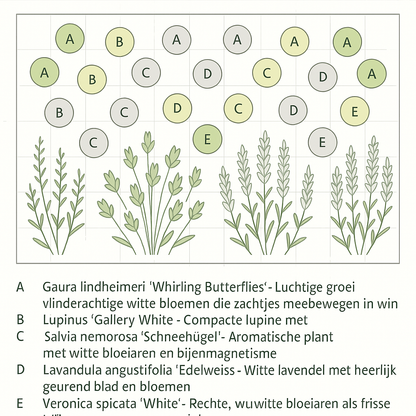 Borderpakket 'Pastel & Wit' - 5m² - 50 planten