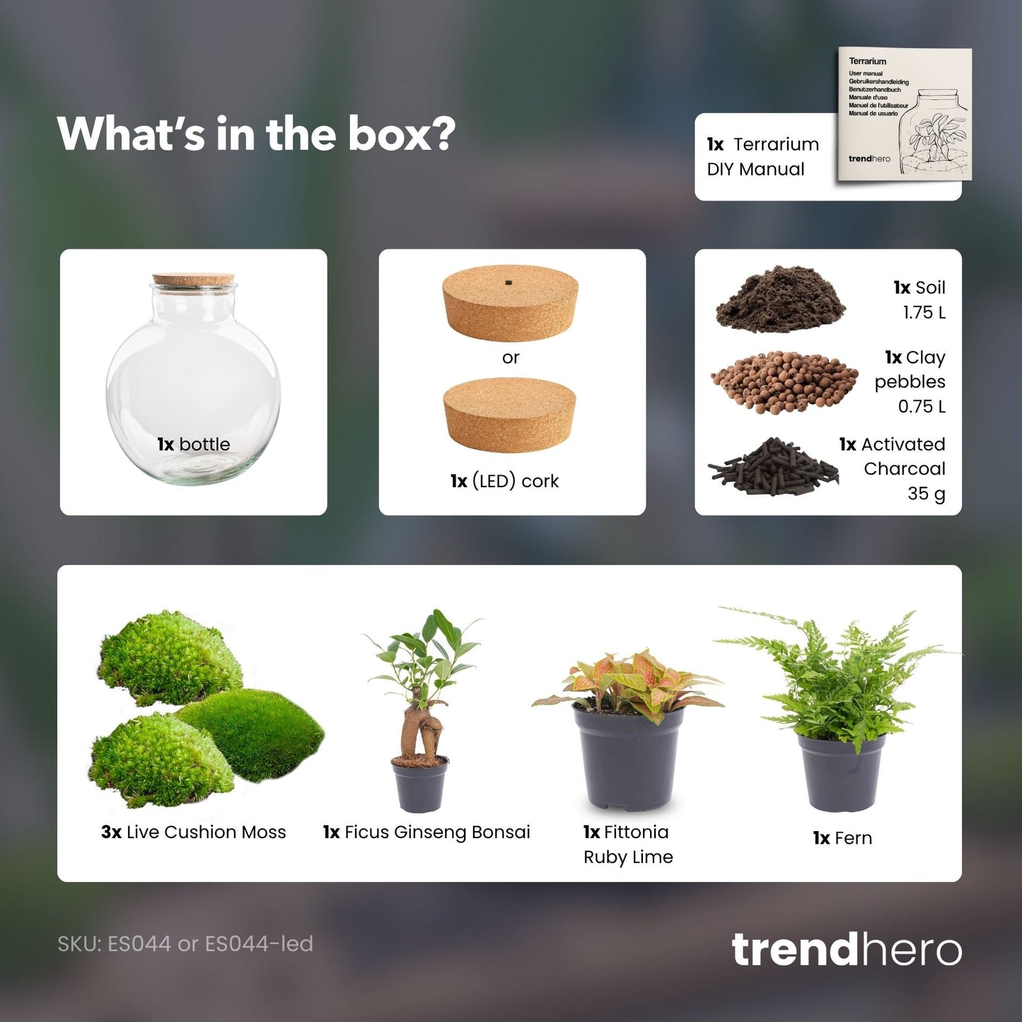 Grote glazen terrarium met korkdop, gevuld met groene mos, rode bladplanten en een kleine boom. Inclusief LED-verlichting voor binnenplanten en decoratieve tuin.
