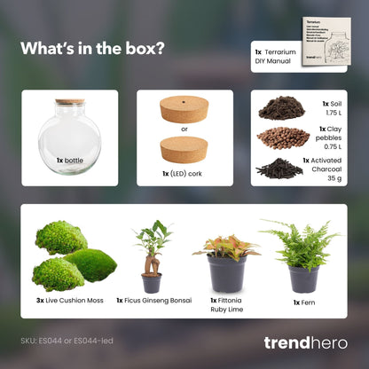 Grote glazen terrarium met korkdop, gevuld met groene mos, rode bladplanten en een kleine boom. Inclusief LED-verlichting voor binnenplanten en decoratieve tuin.