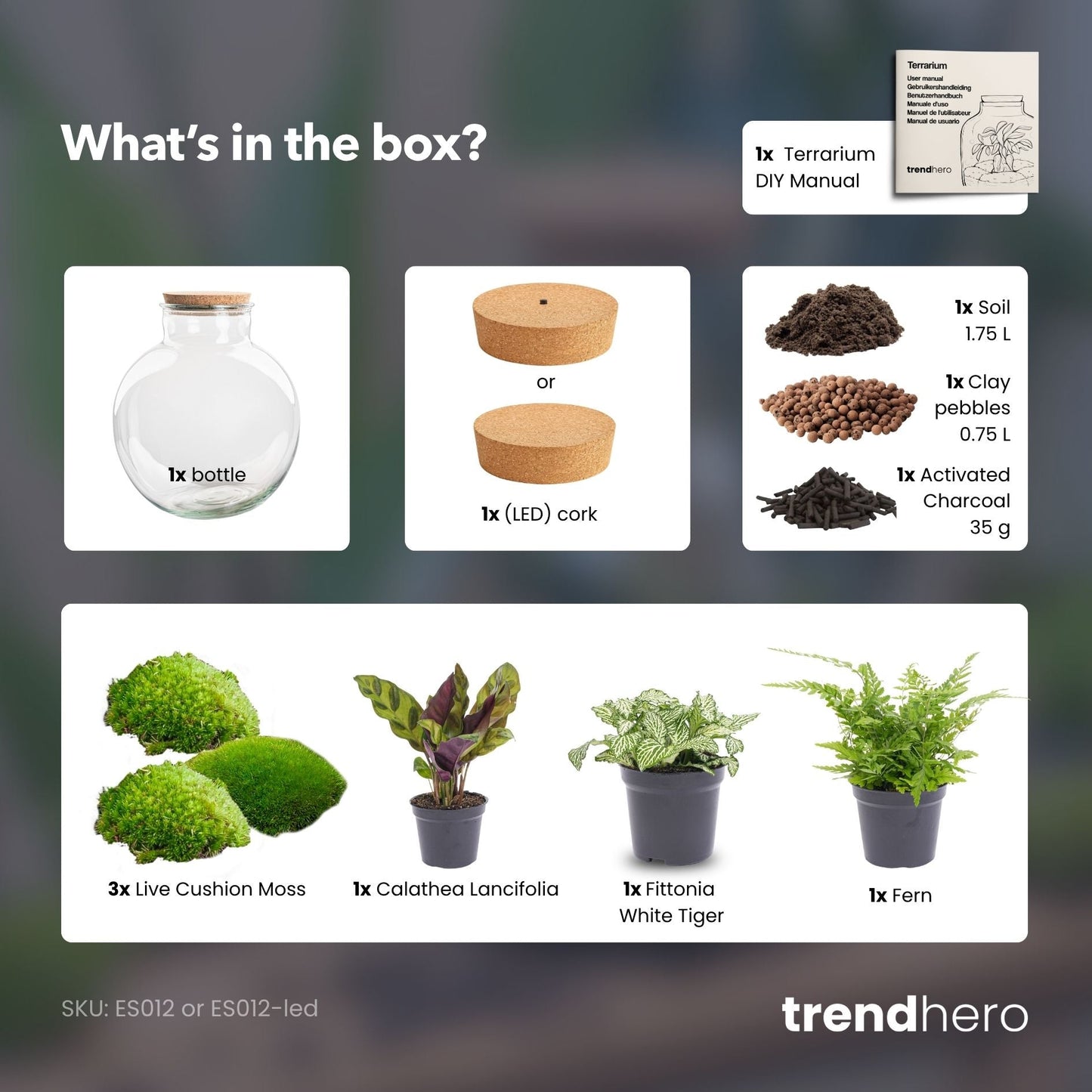 Bolder Bob - Terrarium with light - Bottle garden DIY kit - Ø 31 cm ↑ 30 cm