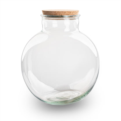 Terrarium bottle 'Bolder Bob' - Incl. (LED) cork - Closed terrarium Ø 30 cm ↑ 31 cm