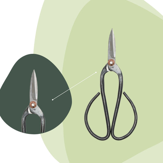 Zilverkleurige tuinschaar met zwartgeverfde handvatten en een koperen bout, geschikt voor precisiesnijden in tuin- en kwekerijtoepassingen. Detailopname toont de scherpe snijvlakken en robuuste constructie.
