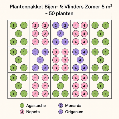 Borderpakket 'Bijen & Vlinders' - 5m² - 50 planten