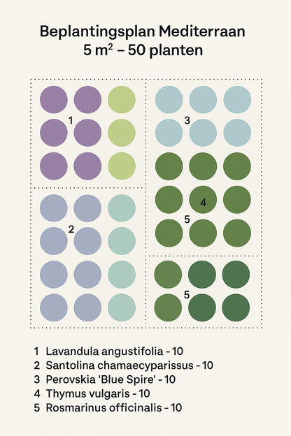 Borderpakket 'Mediterraan' - 5m² - 50 planten