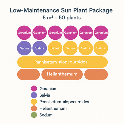 Borderpakket 'Onderhoudsarm-zonpakket' - 5m² - 50 planten