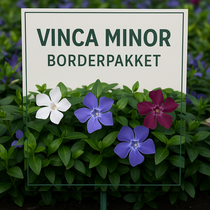 Borderpakket - Vinca 'Kleur' -  6m² - 72 planten