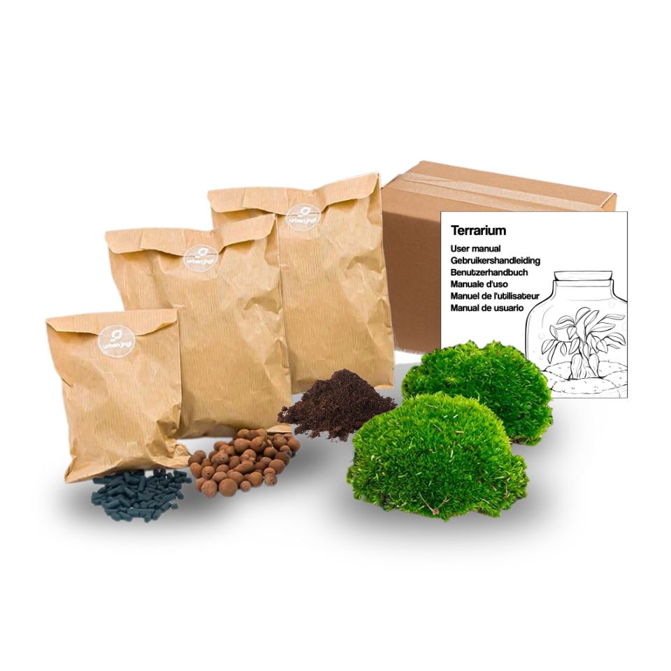 Terrarium Package  – Refill & Starter Package  – DIY Terrarium Kit – Size S/M