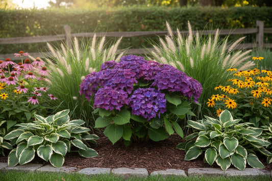 Diep paarse hydrangea ‘Deep Purple Dance’ in een zwart potje met muziekcollectie-etiket, bloeiend met groene blaadjes en een opvallende gitaarvormige label voor tuinversiering.