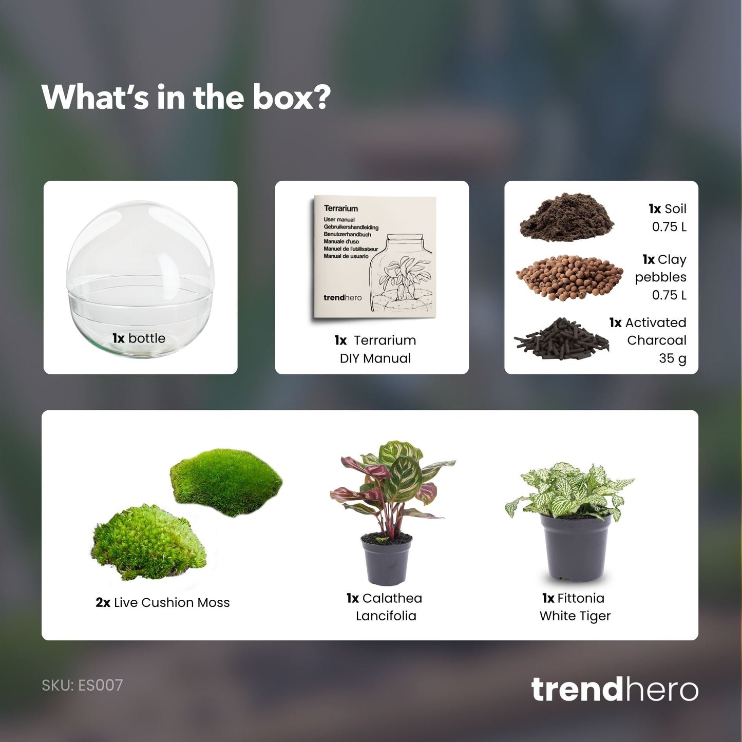 Comnox - Dome - DIY Terrarium Kit - Zelfregulerend Ecosysteem - 20 cm