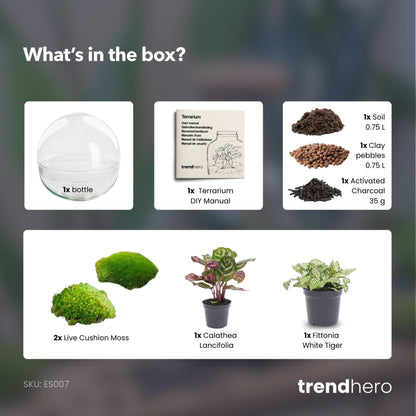 Comnox - Dome - DIY Terrarium Kit - Zelfregulerend Ecosysteem - 20 cm