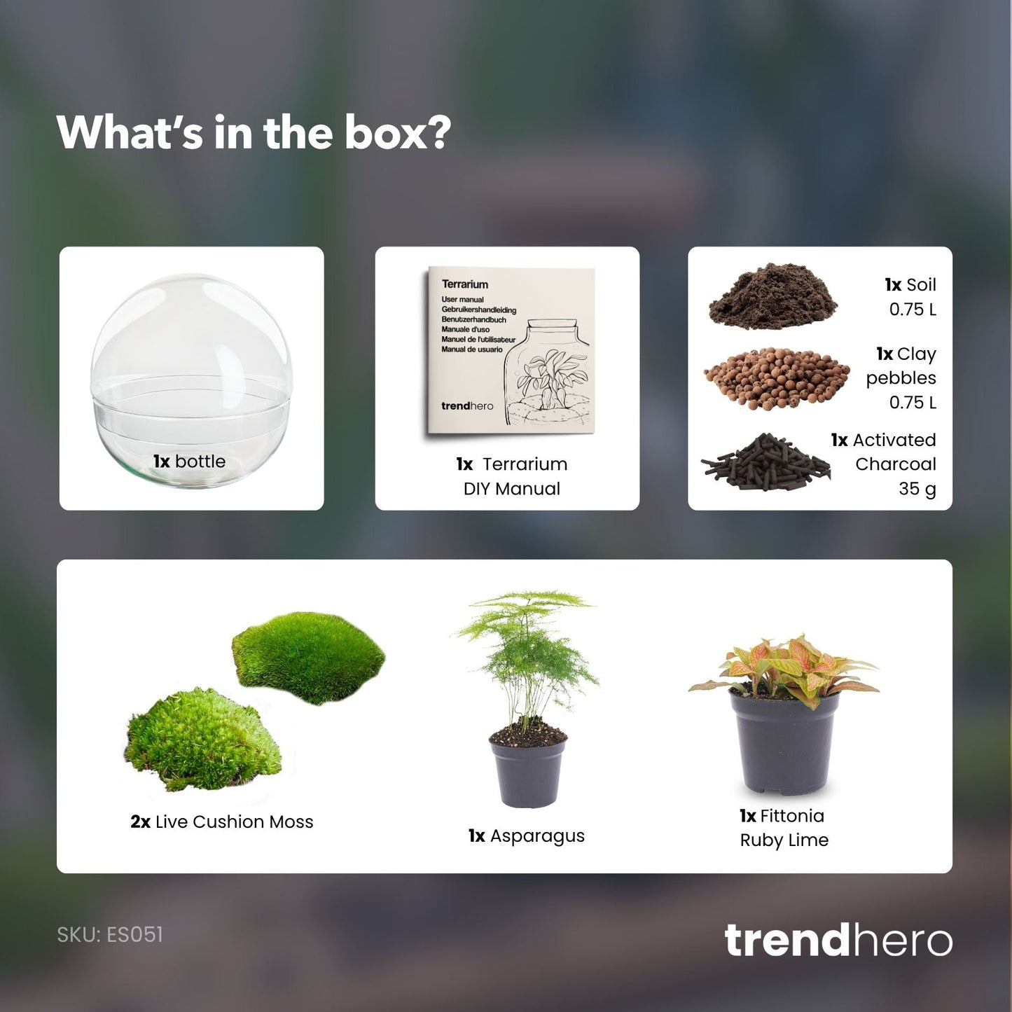 Dome Red - Two-part round glass terrarium - Bottle garden DIY kit - Ø 20 cm ↑ 20 cm