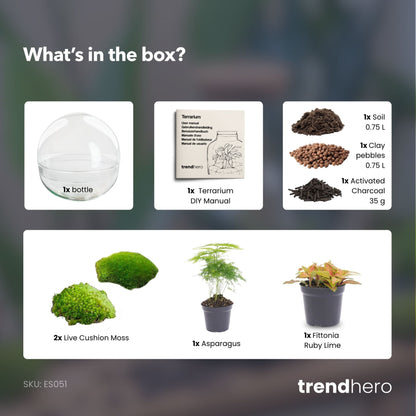 Dome Red - Two-part round glass terrarium - Bottle garden DIY kit - Ø 20 cm ↑ 20 cm