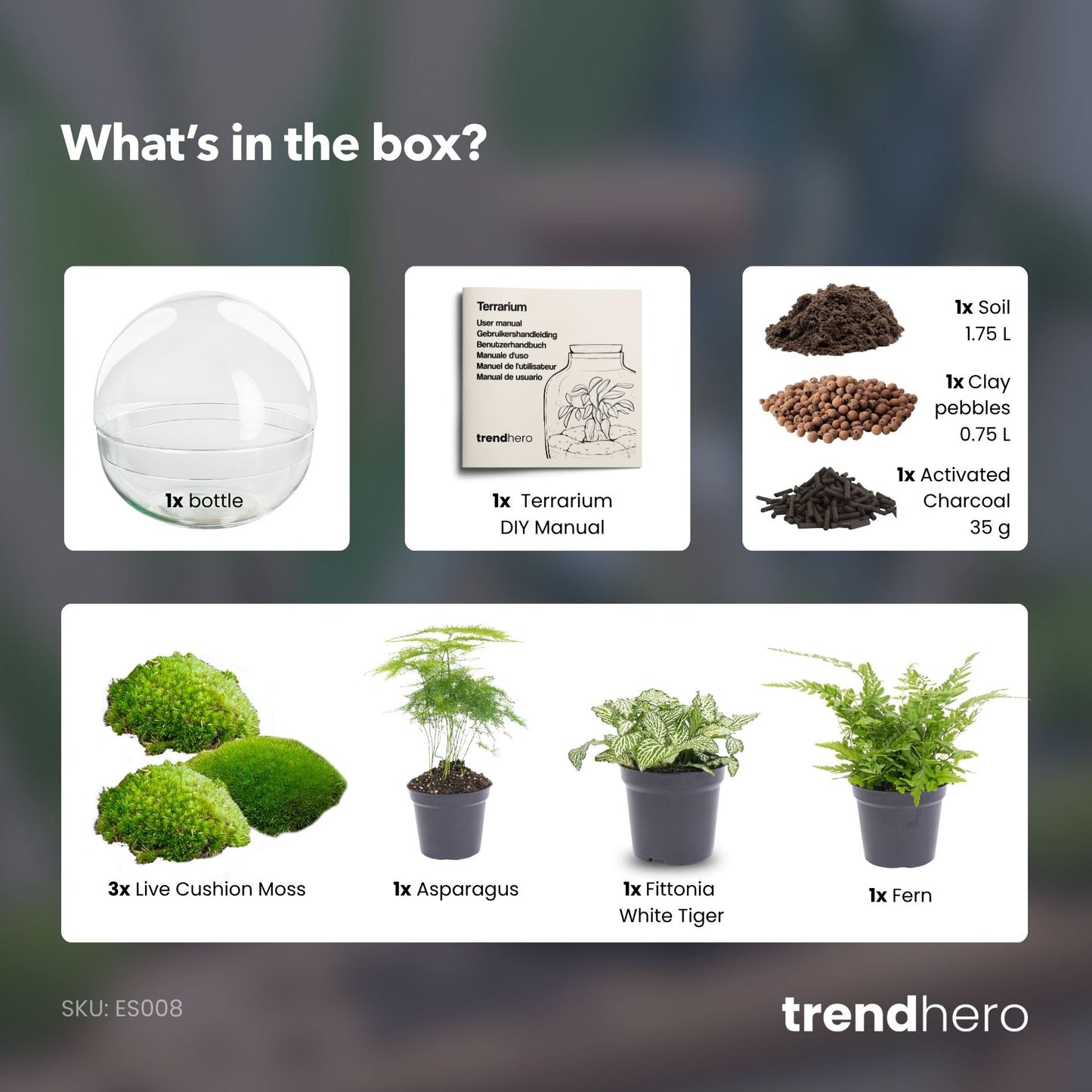 Dome XL - Two-part round glass terrarium - Bottle garden DIY kit - Ø 28 cm ↑ 28 cm