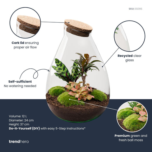 Een glazen terrarium met een kurkstop, gevuld met donkere aarde, groene mos, en diverse planten met groen en roodblad. Perfect voor binnenruimte decoratie en plantenverzorging.