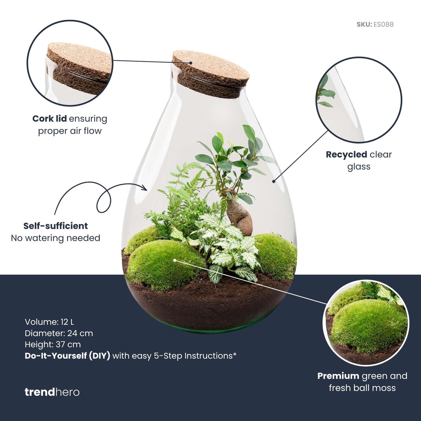 Comnox - Drop XL Green - Zelfbouw Terrarium Kit - Glazen Ecosysteem 24x37 cm