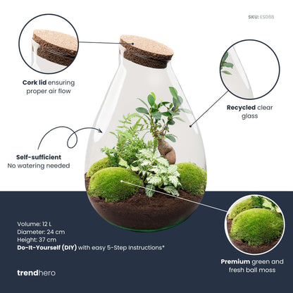 Comnox - Drop XL Green - Zelfbouw Terrarium Kit - Glazen Ecosysteem 24x37 cm