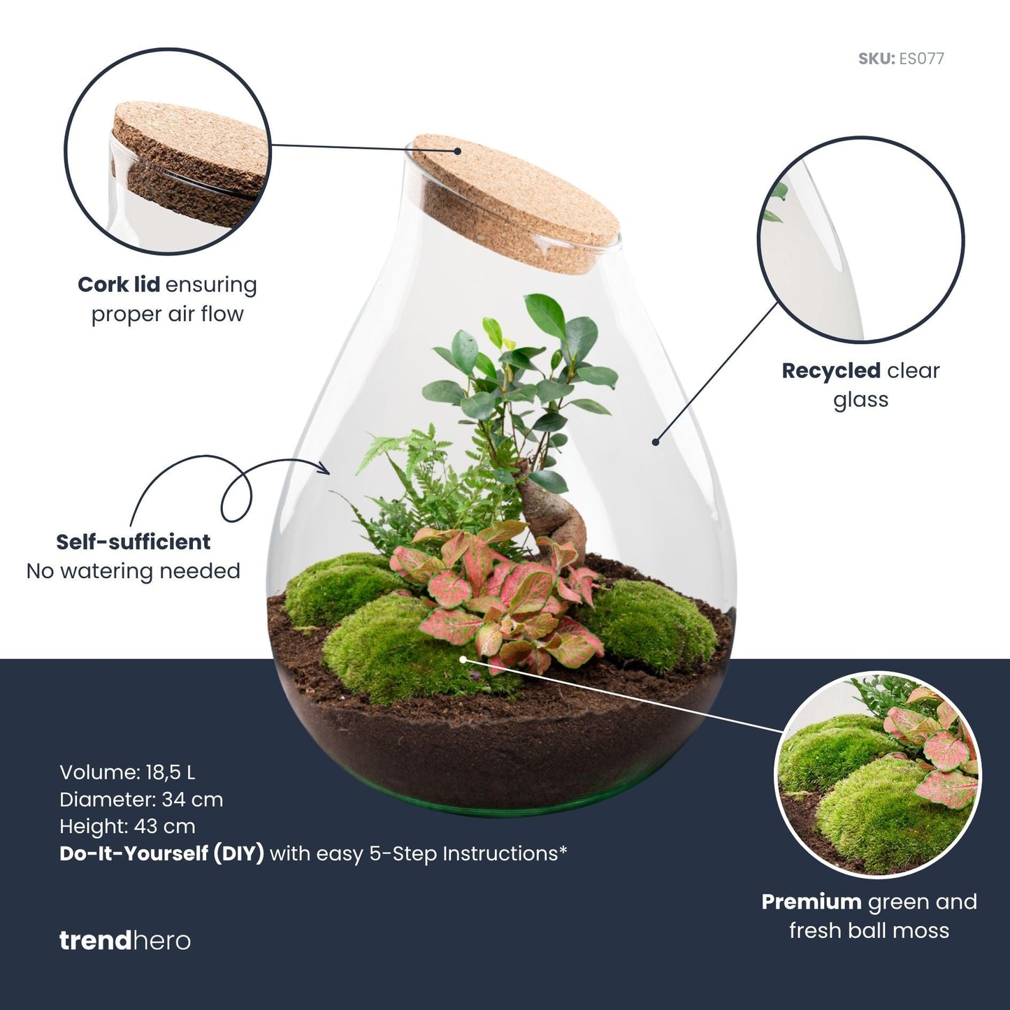 Comnox - Drop XXL Bonsai - Zelfbouw Terrarium Kit - Glazen Ecosysteem