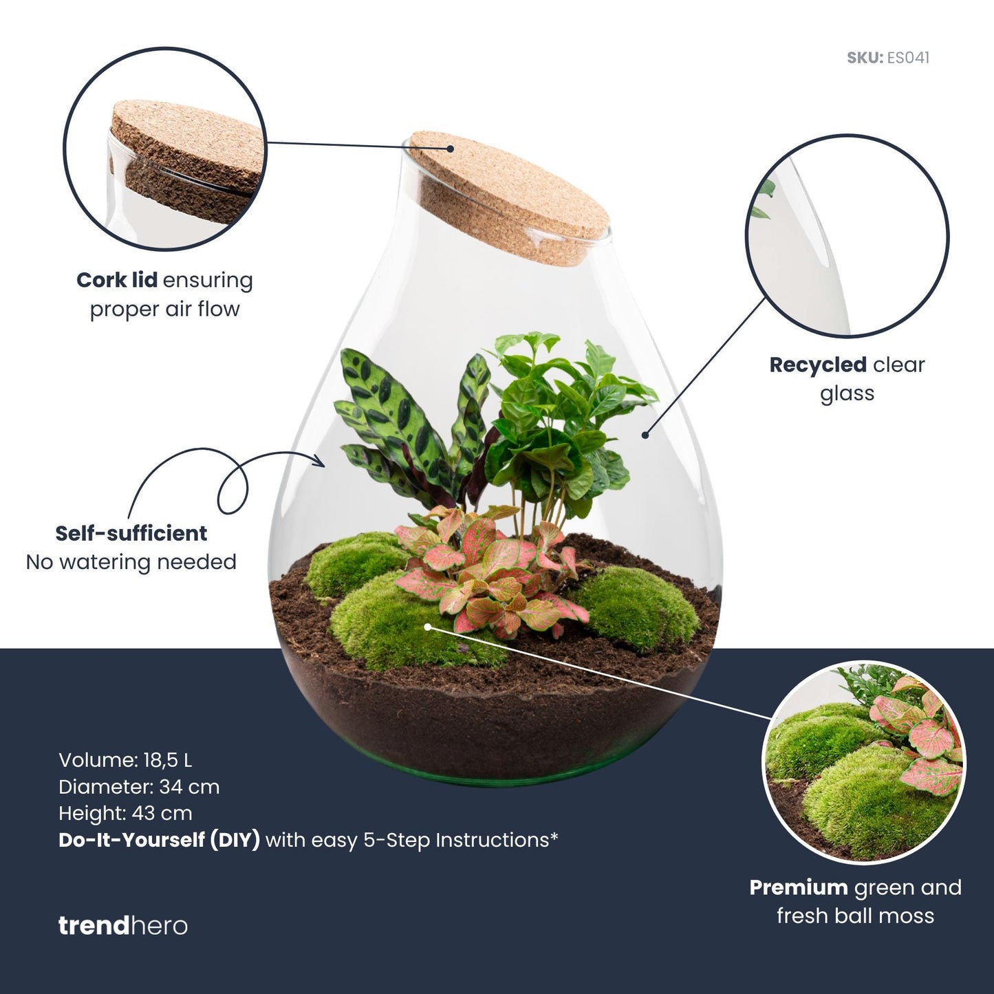 Comnox - Drop XXL Red - Zelfbouw Terrarium Kit - Inclusief Planten en Grond