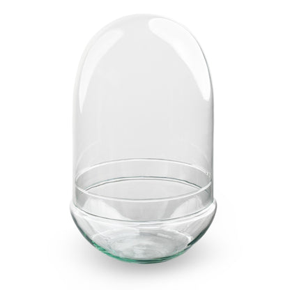 Terrarium bottle ‘Egg XL’ – Two-part glass dome – Closed terrarium Ø 17.5 cm ↑ 30 cm