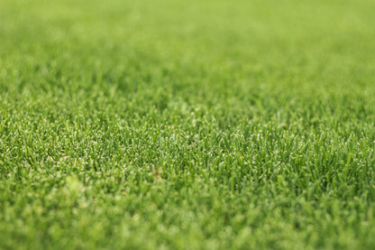 Van Hemert & Co. - Herstelgazon iSeed - Graszaad