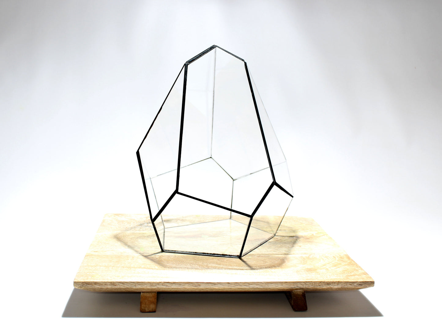 Geometric Terrarium - Jungle Gem - Vivarium - ↑ 16 x 15 x 19,5 cm (LxWxH) - Glass