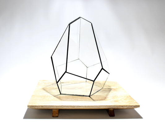 Geometric Terrarium - Jungle Gem - Vivarium - ↑ 16 x 15 x 19,5 cm (LxWxH) - Glass