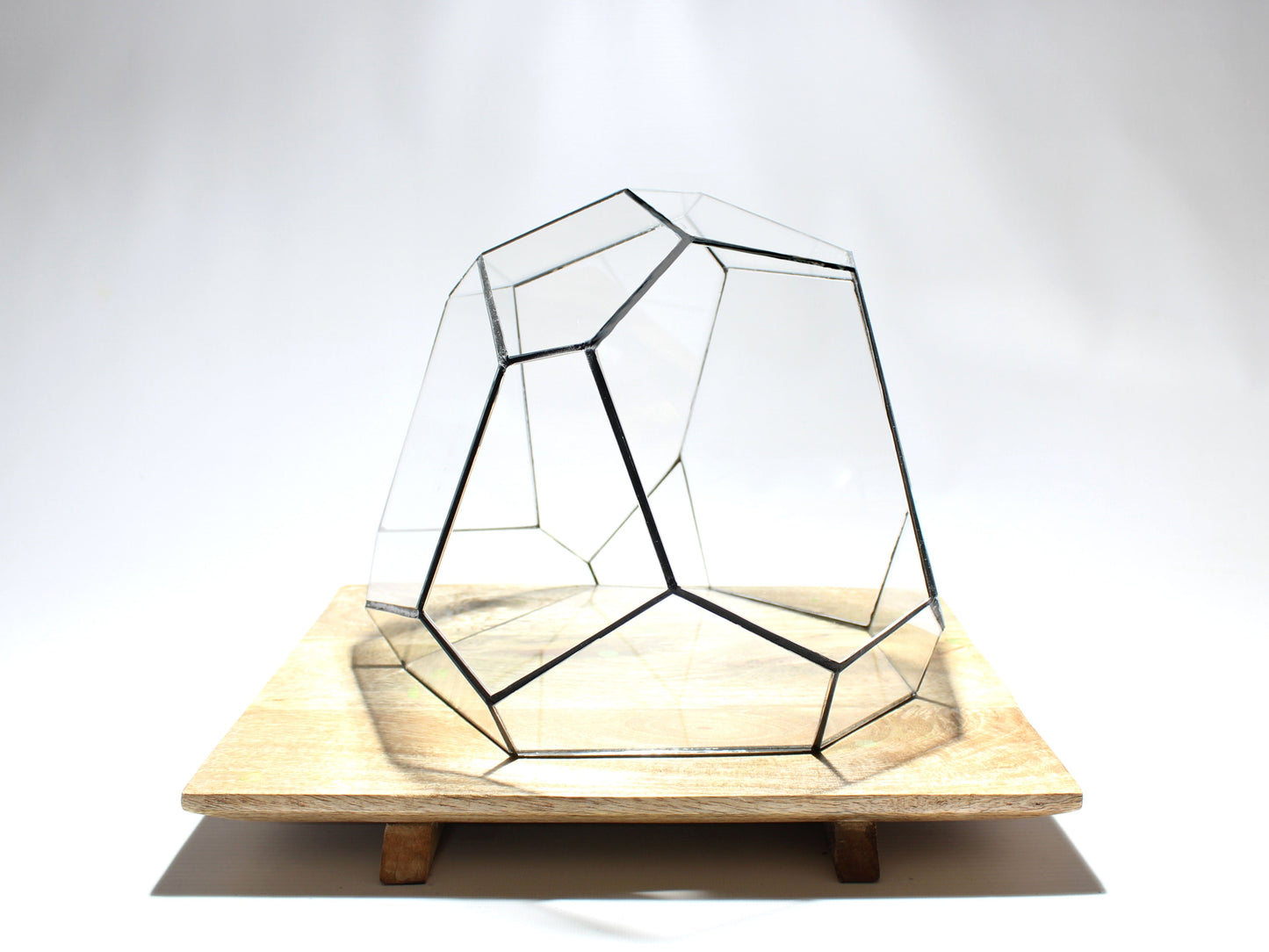 Geometric Terrarium - Torno - Vivarium - ↑ 28 x 26 x 24 cm (LxWxH) - Glass