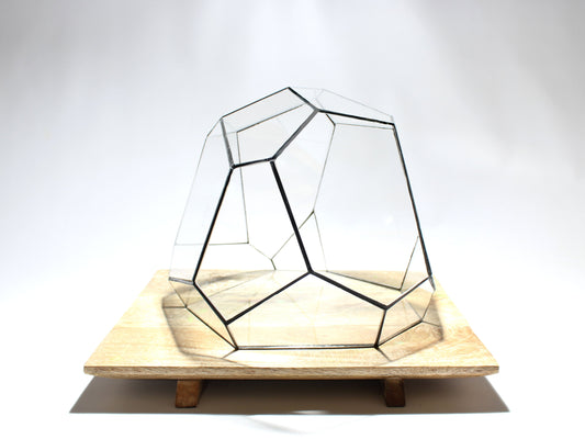 Geometric Terrarium - Torno - Vivarium - ↑ 28 x 26 x 24 cm (LxWxH) - Glass