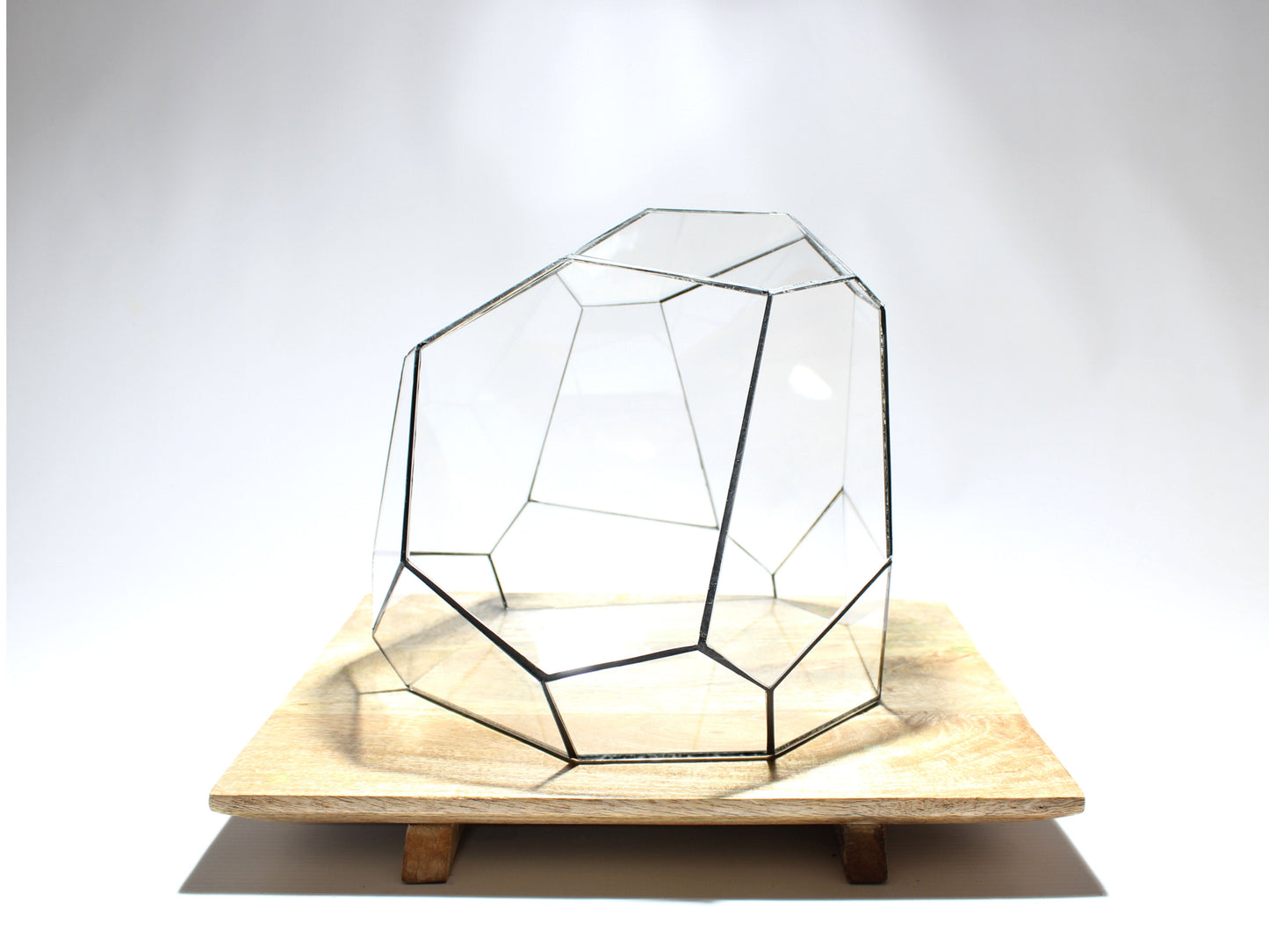 Geometric Terrarium - Torno - Vivarium - ↑ 28 x 26 x 24 cm (LxWxH) - Glass