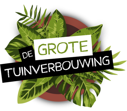 Hydrangea 'Magical Revolution Pink' - Magical Hydrangea®