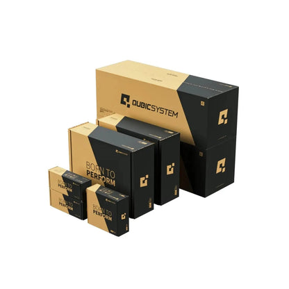 Qubic System QS-210-PL - Ultieme Sim Racing Realisme - 3-DOF Motion System