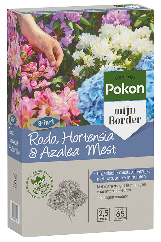 Hydrangea macrophylla - Boerenhortensia rood