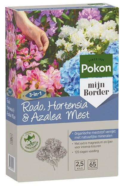 Hydrangea macrophylla - Boerenhortensia rood