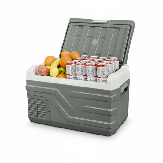 Grijze Alpicool koelbox met 25L/35L/45L capaciteit, gevuld met frisse fruit en Budweiser bierkanen, ideaal voor kampeer- en picknicktoepassingen. Robu