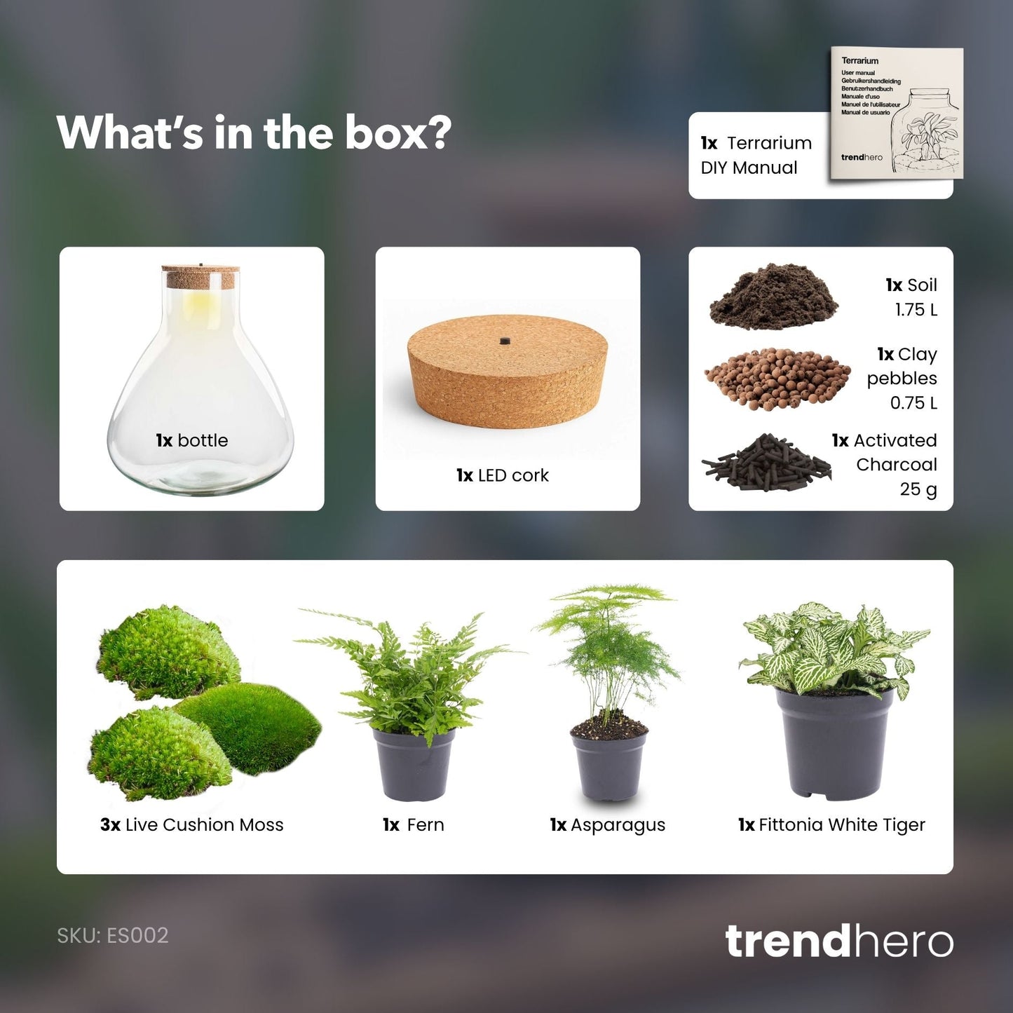 Sam XL - Terrarium with light - Bottle garden DIY kit - Ø 30 cm ↑ 32 cm