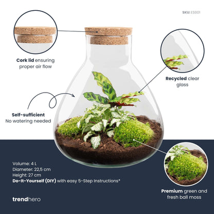 Sammie - Terrarium - Bottle garden DIY kit - Ø 22,5 cm ↑ 27 cm