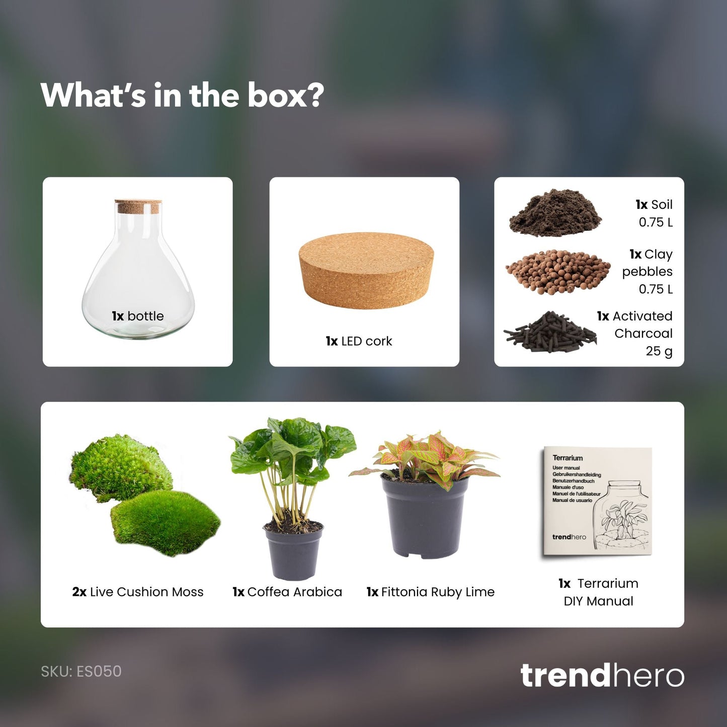 Sammie - Terrarium - Bottle garden DIY kit - Ø 22,5 cm ↑ 27 cm