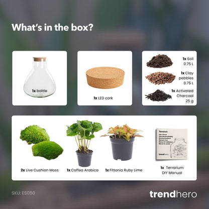 Sammie - Terrarium - Bottle garden DIY kit - Ø 22,5 cm ↑ 27 cm