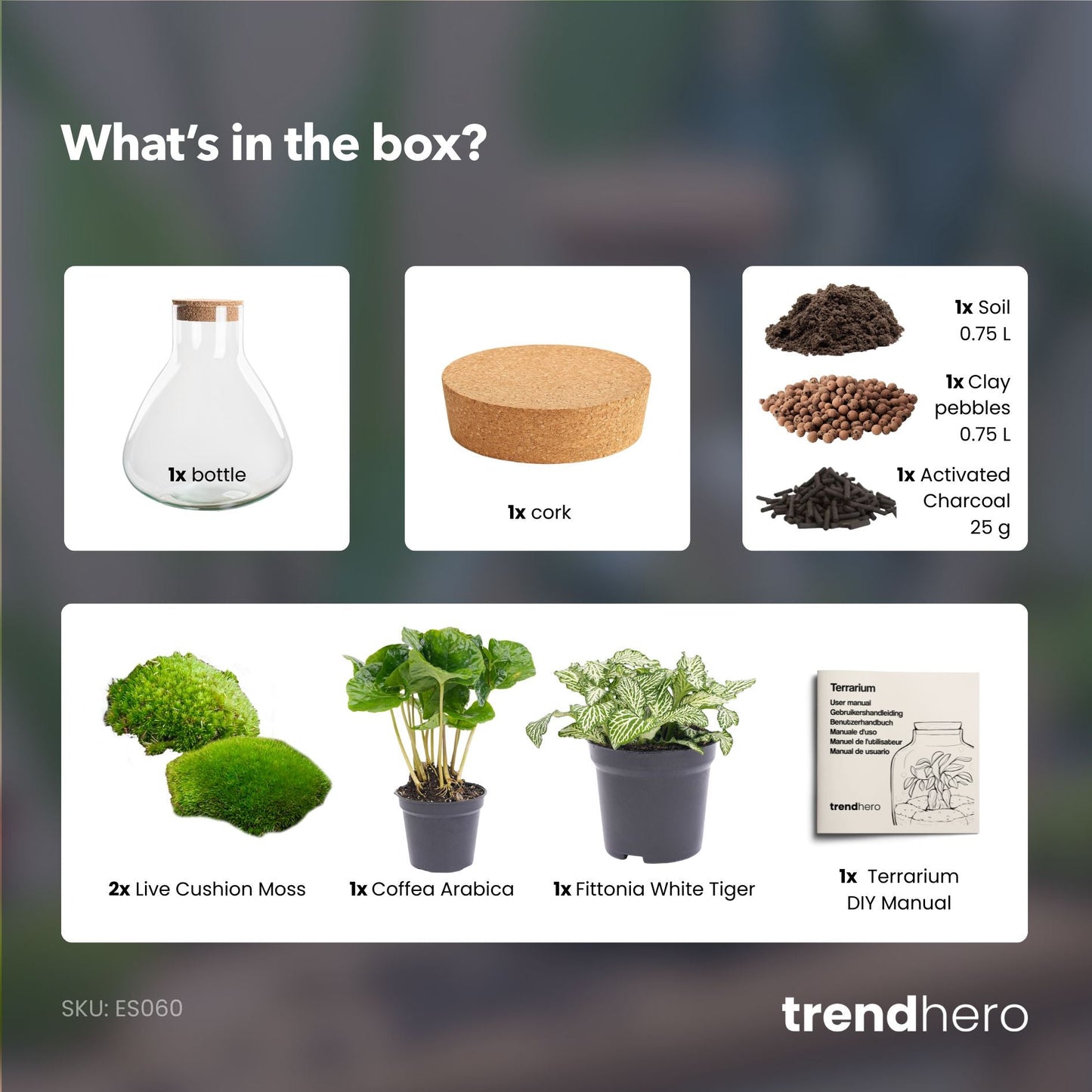 Sammie - Terrarium - Bottle garden DIY kit - Ø 22,5 cm ↑ 27 cm