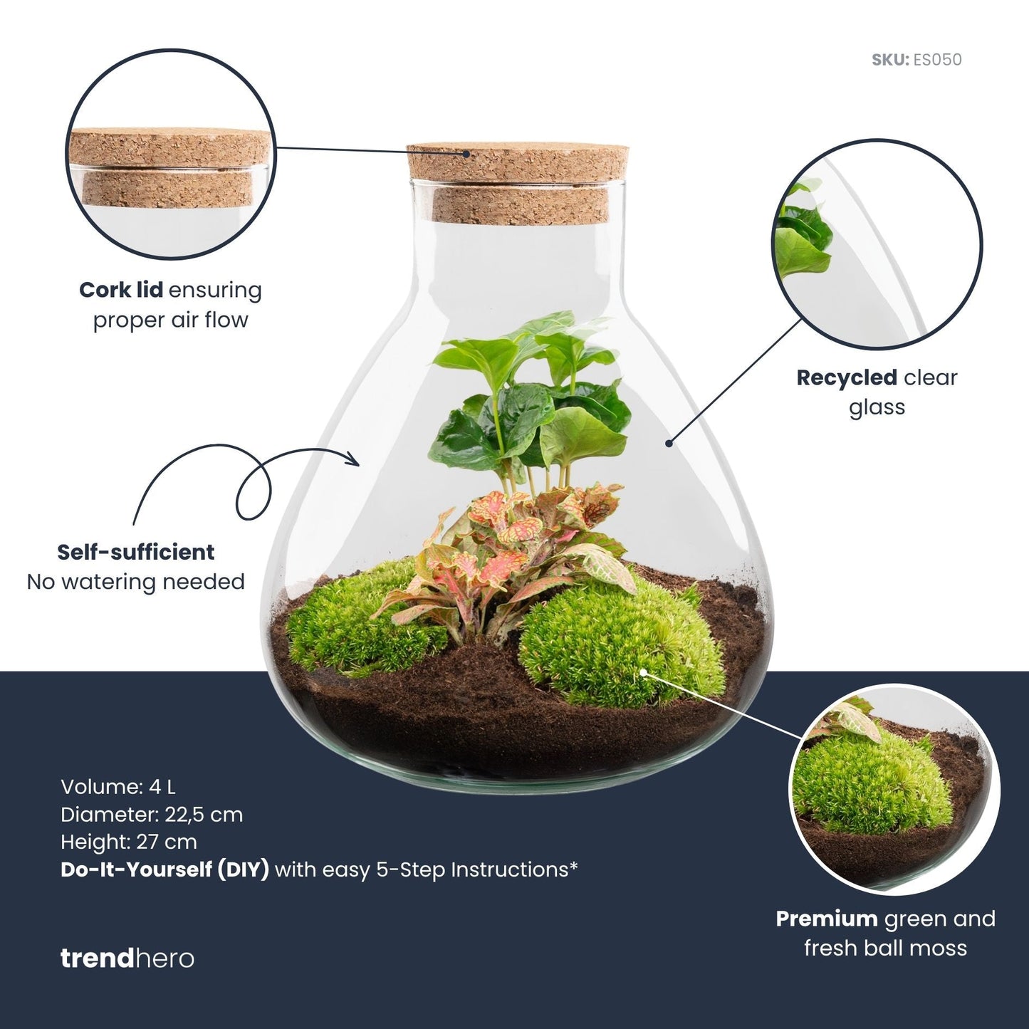 Sammie - Terrarium - Bottle garden DIY kit - Ø 22,5 cm ↑ 27 cm