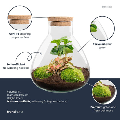 Sammie - Terrarium - Bottle garden DIY kit - Ø 22,5 cm ↑ 27 cm