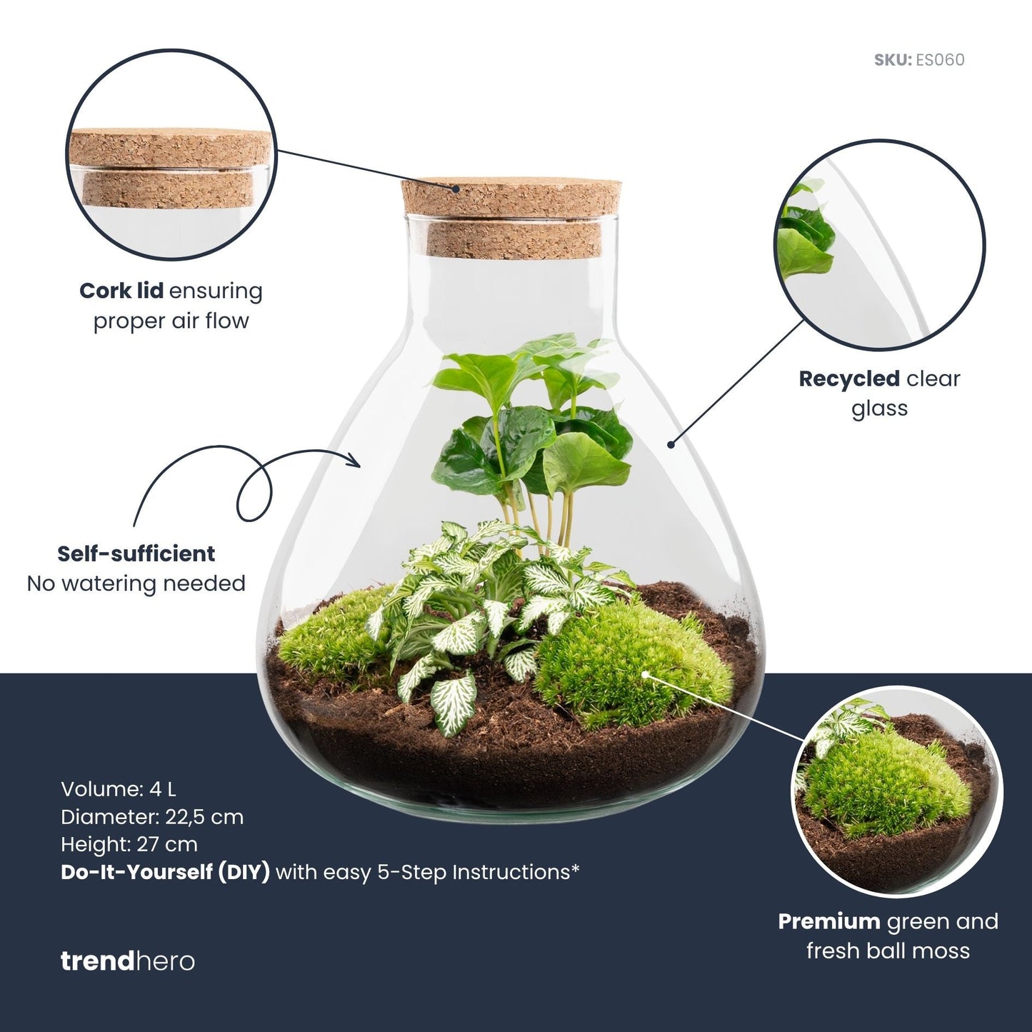 Sammie - Terrarium - Bottle garden DIY kit - Ø 22,5 cm ↑ 27 cm