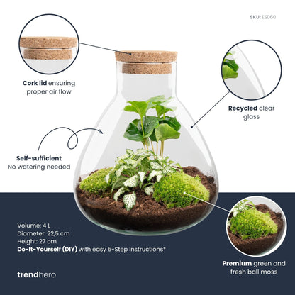 Sammie - Terrarium - Bottle garden DIY kit - Ø 22,5 cm ↑ 27 cm