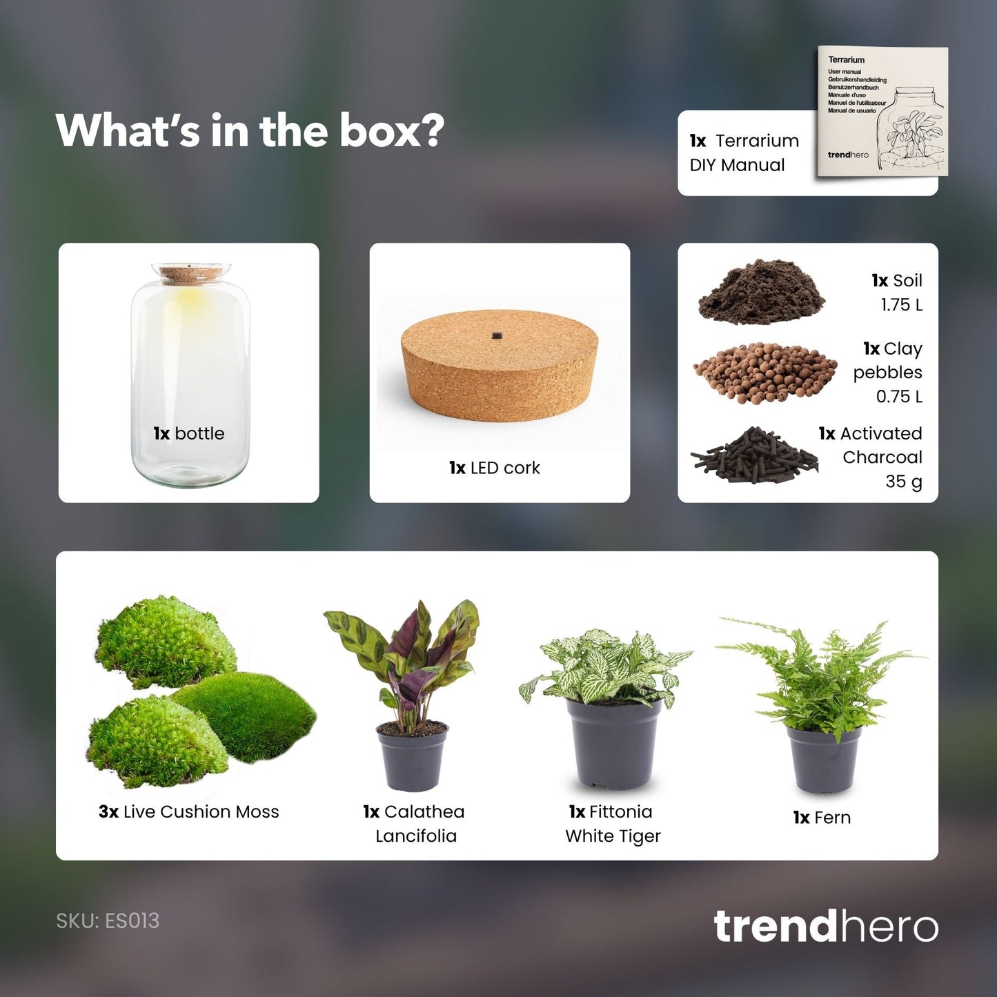 Sven XL Botanical - Terrarium with light - Bottle garden DIY kit - Ø 23 cm ↑ 43 cm