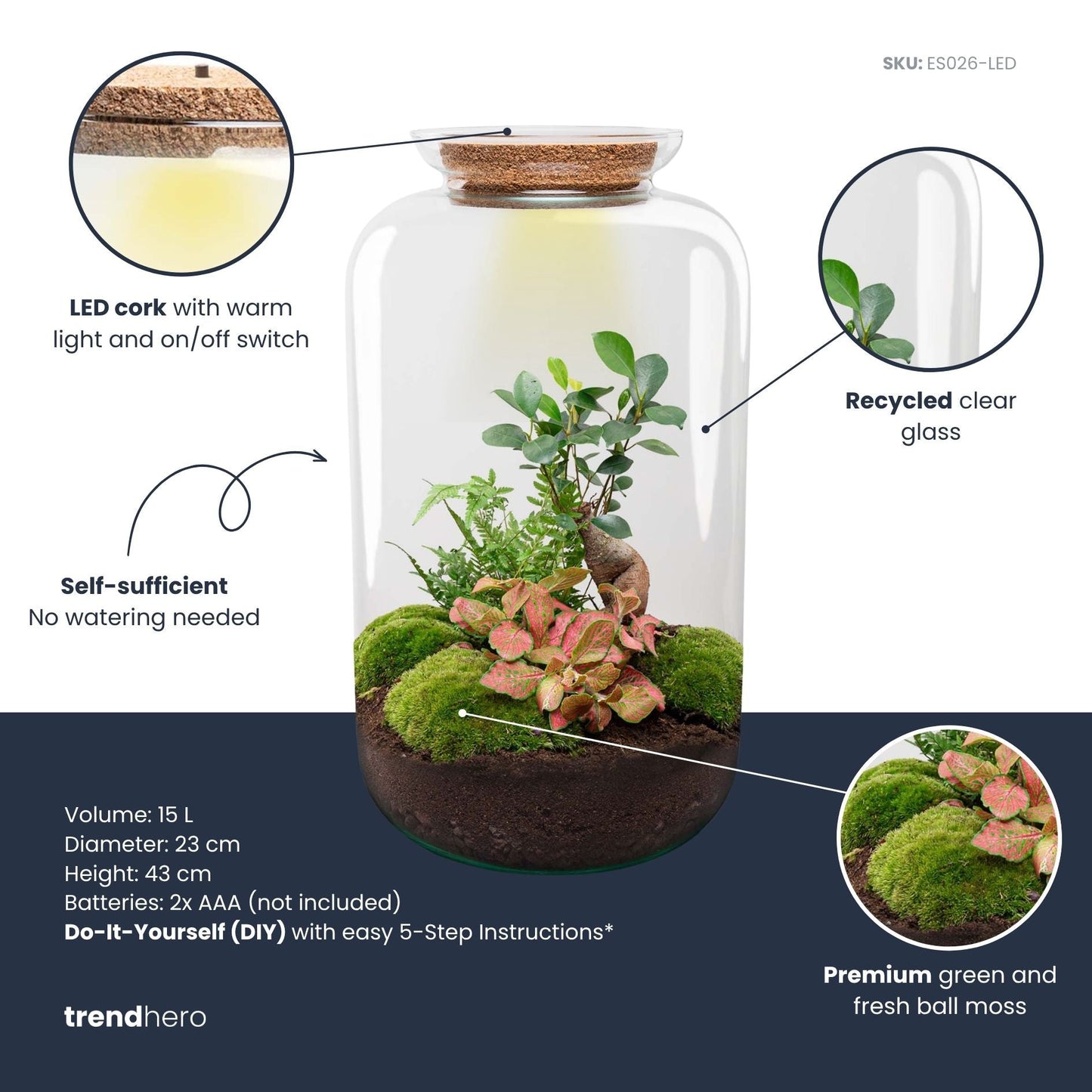 Sven XL Bonsai - Terrarium with light - Bottle garden DIY kit - Ø 23 cm ↑ 43 cm