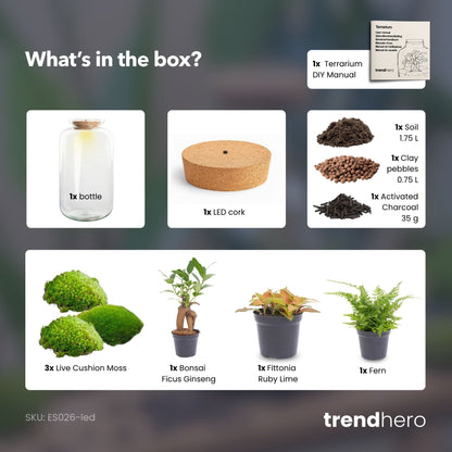 Sven XL Bonsai - Terrarium with light - Bottle garden DIY kit - Ø 23 cm ↑ 43 cm