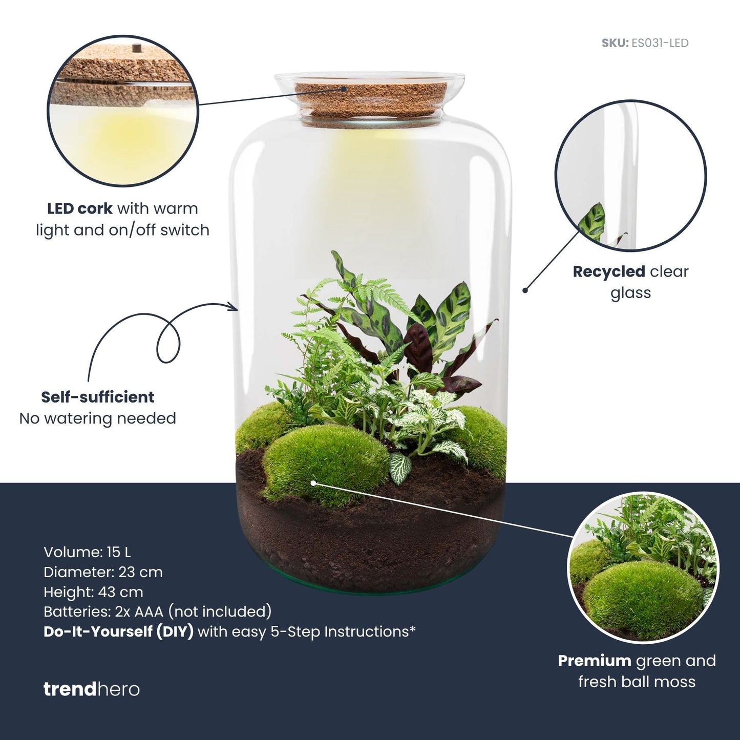 Sven XL Botanical - Terrarium with light - Bottle garden DIY kit - Ø 23 cm ↑ 43 cm